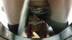 free pics 46